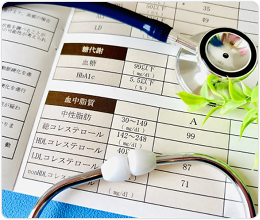 脂質異常症・コレステロール対策プログラムのイメージ
