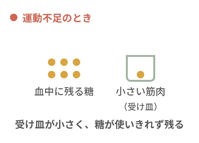 血糖値：運動不足のときのイメージ