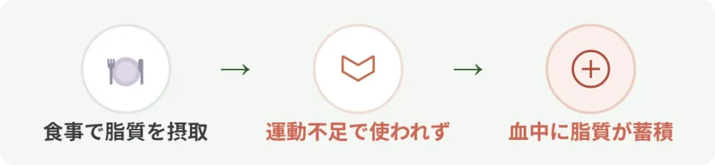 脂質は「使われないと蓄積される」イメージ