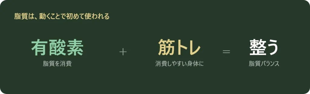 脂質は、、動くことで初めて使われる。
有酸素（資質を消費）＋筋トレ（消費しやすい身体に）＝整う（資質バランス）のイメージ