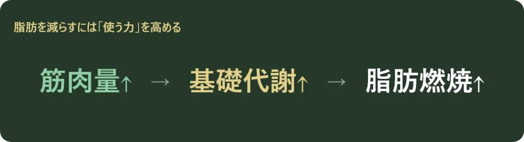 脂肪を減らすには「使う力」を高める